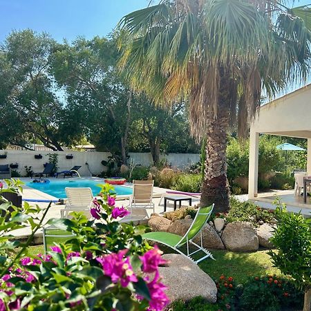 Mini Villa Pascal Paoli Avec Piscine - Proche Mer Prunelli-di-Fiumorbo Exterior foto